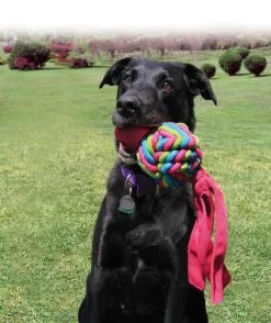 Kong Wubba Weaves Assorti 11 Kong Wubba Weaves Assorti -Huisdier Korting Winkel 0035585800899 75 89 met hond