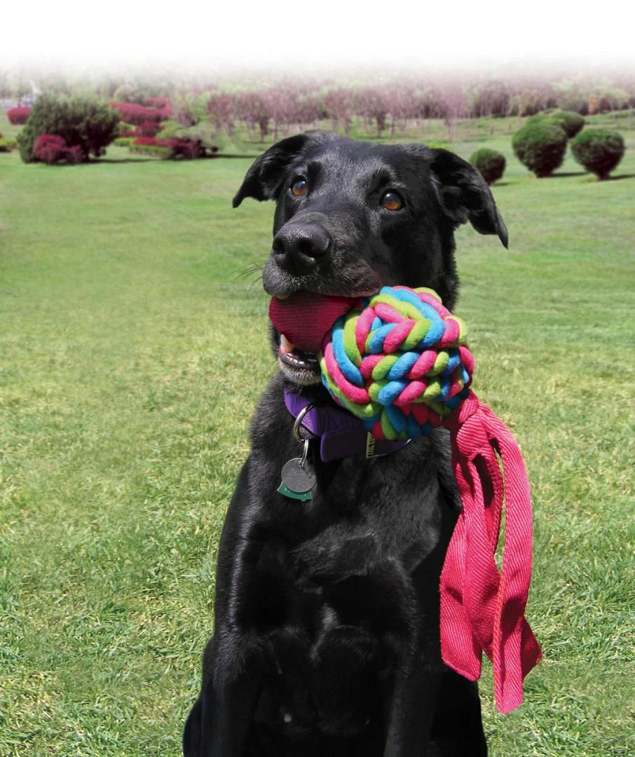 Kong Wubba Weaves Assorti 4 Kong Wubba Weaves Assorti - Afbeelding 4