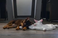 Beeztees Puppy Knuffeldoek Unicorn M -Huisdier Korting Winkel 0619491 sfeer1