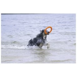 Beeztees Apportino Ring -Huisdier Korting Winkel 0625883 2