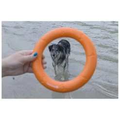 Beeztees Apportino Ring -Huisdier Korting Winkel 0625883 3