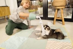 Beeztees Puppy Flostouw Pullina Groen -Huisdier Korting Winkel 0641270 sfeer2