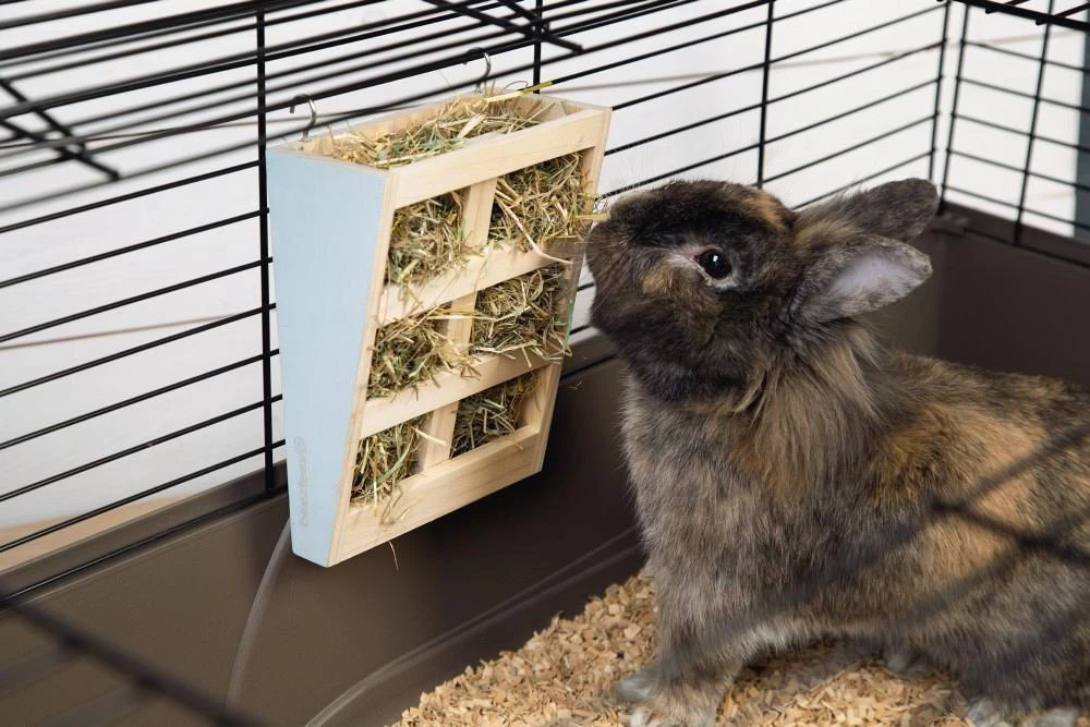 Beeztees Houten Hooiruif Rima Mint 2 Beeztees Houten Hooiruif Rima Mint - Afbeelding 2