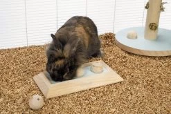 Beeztees Braingame Ballira Mint 7 Beeztees Braingame Ballira Mint -Huisdier Korting Winkel 0811115 sfeer1