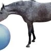 QHP Paardenvoetbal Blauw 100 Cm