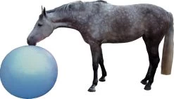 QHP Paardenvoetbal Blauw 100 Cm