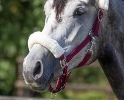 QHP Halster Florence -Huisdier Korting Winkel 1104bo 4