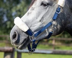 QHP Halster Florence -Huisdier Korting Winkel 1104na 4