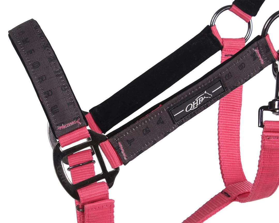 QHP Halsterset Met Turnout Collection 2 QHP Halsterset Met Turnout Collection - Afbeelding 2