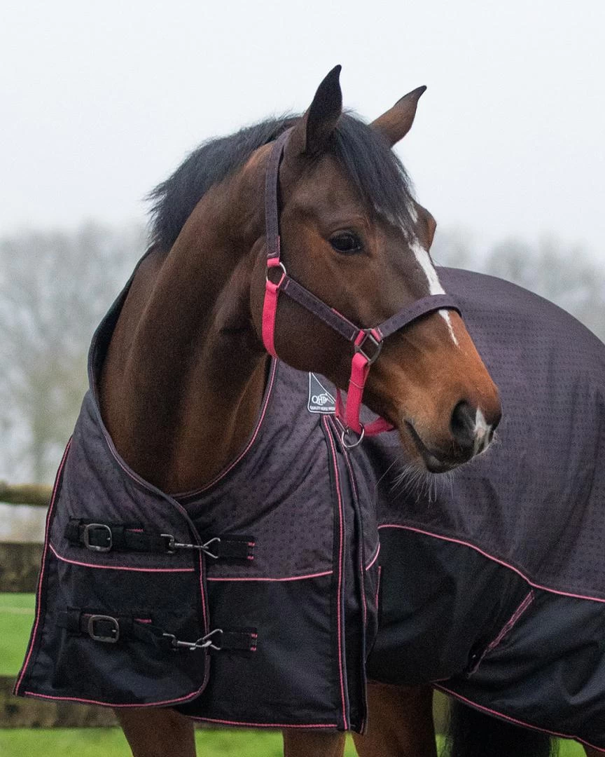 QHP Halsterset Met Turnout Collection 3 QHP Halsterset Met Turnout Collection - Afbeelding 3