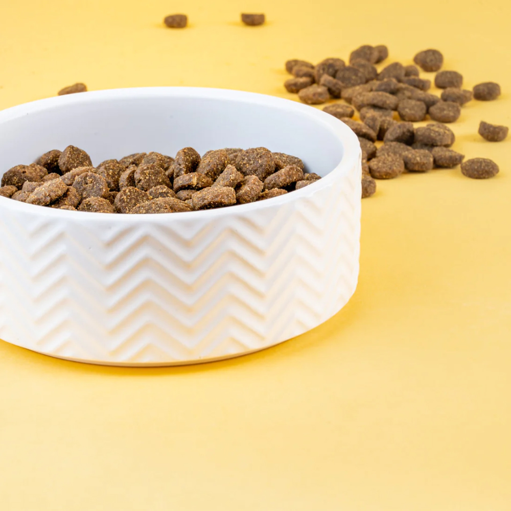 Huisdier Korting Winkel -Huisdier Korting Winkel 13