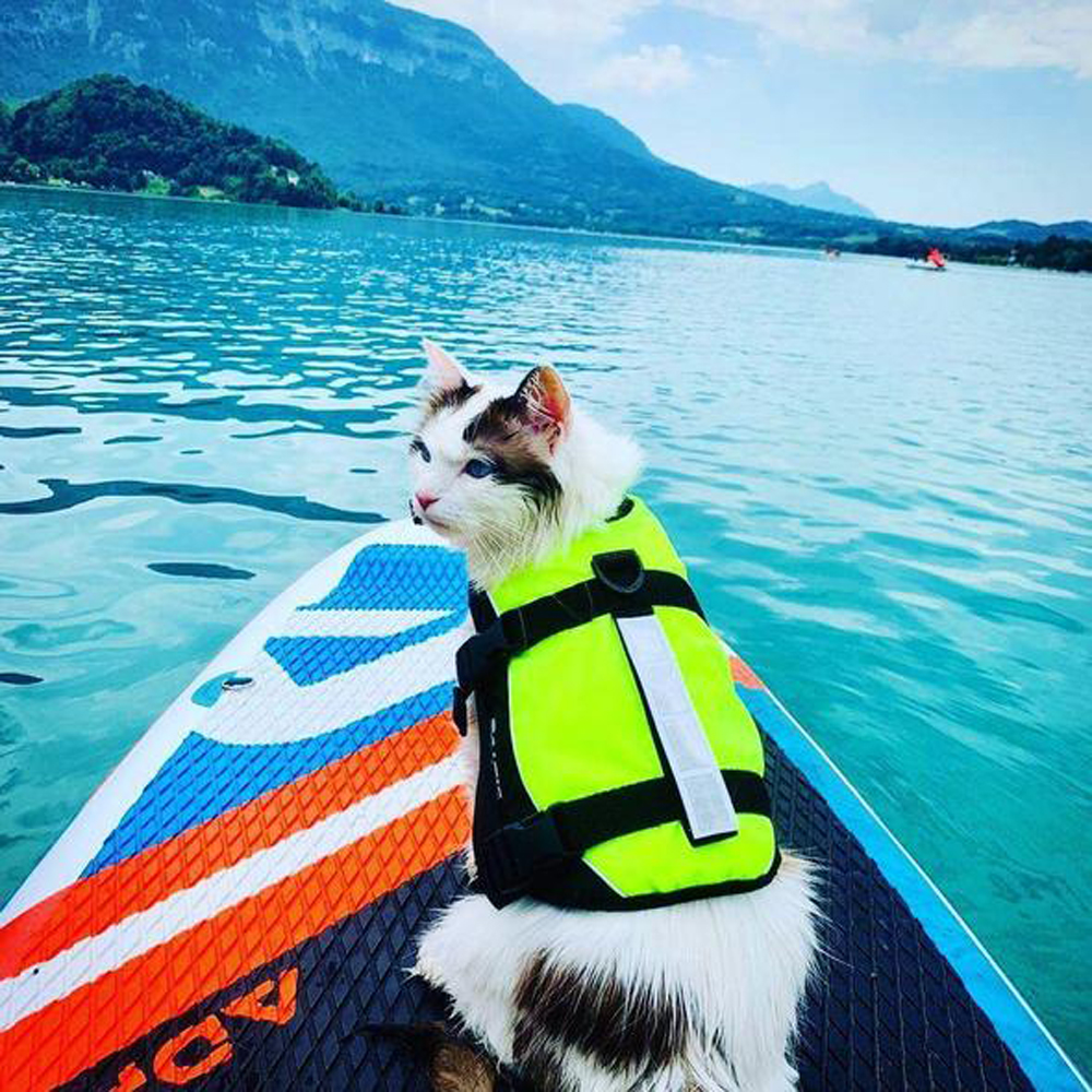 Huisdier Korting Winkel -Huisdier Korting Winkel 14