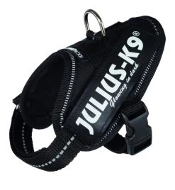 Julius K9 IDC Harness Black