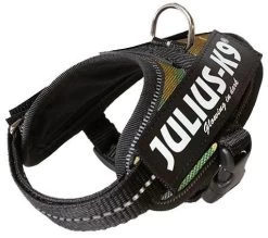 Julius K9 IDC Powerharness Camouflage