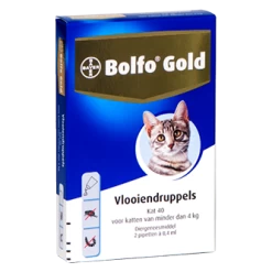 Bolfo Gold Kat 40 2 Pipetten