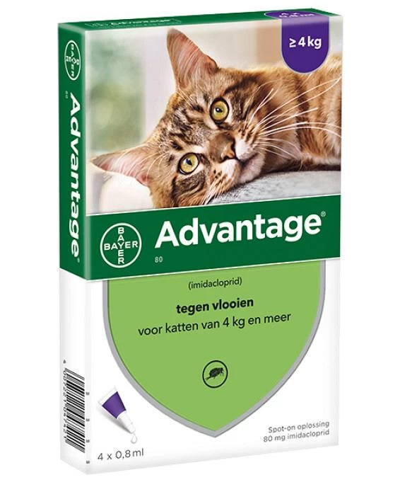 Advantage Kat 80 4 Pipetten 1 Advantage Kat 80 4 Pipetten