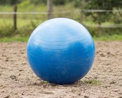QHP Paardenvoetbal Blauw 80 - 100 Cm