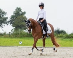 QHP Cap Cover Halloween -Huisdier Korting Winkel 8548gho 2