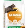 IAMS Kattenvoer Adult Lamb 3 Kg