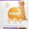 IAMS Kattenvoer Kitten Ocean Fish 10 Kg