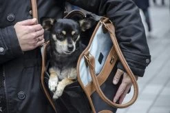 Innopet Schoudertas Hond Traveler Urban Black/cognac 5 Innopet Schoudertas Hond Traveler Urban Black/cognac -Huisdier Korting Winkel 8718403401264 2