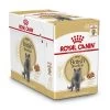 Royal Canin Kattenvoer British Shorthair Adult 12 X 85 Gr