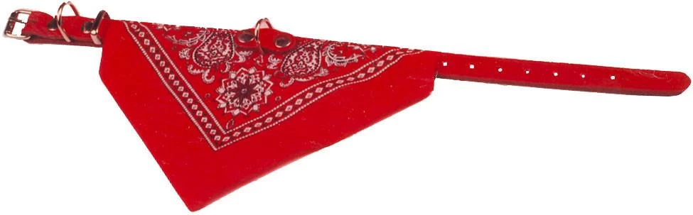 Boon Halsband Met Zakdoek Rood 1 Boon Halsband Met Zakdoek Rood