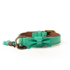 Dog With A Mission Halsband Boomer -Huisdier Korting Winkel DWAM FW2122 City BOOMER M1 2021