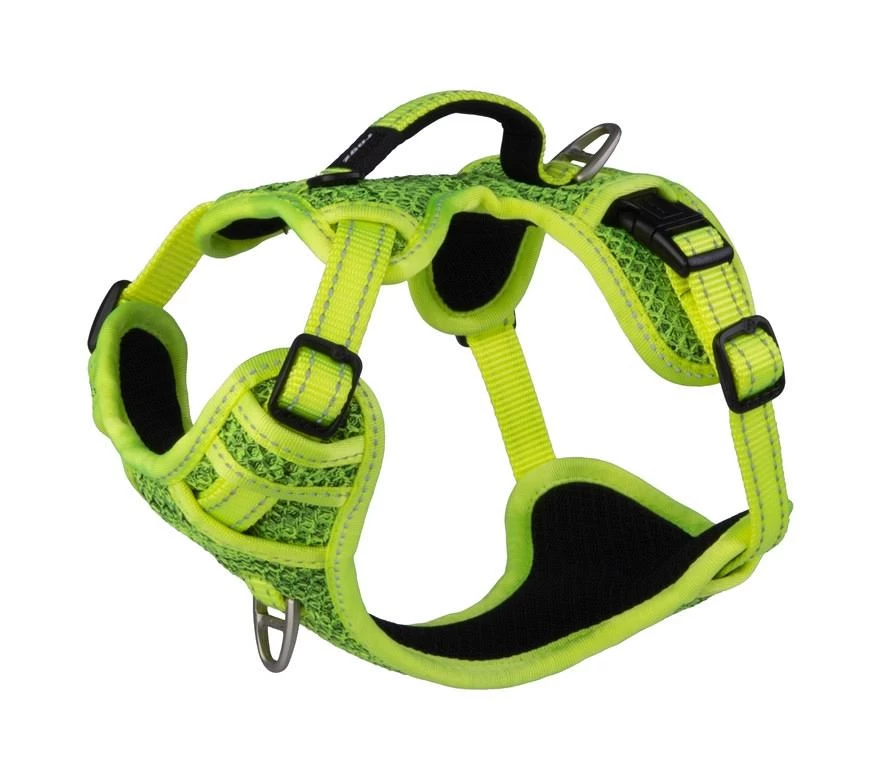 Rogz Hondentuig Explore Yellow 1 Rogz Hondentuig Explore Yellow