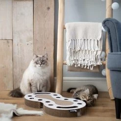 District 70 SNAKE White -Huisdier Korting Winkel Snake wit 2