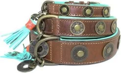 Dog With A Mission Halsband Urban