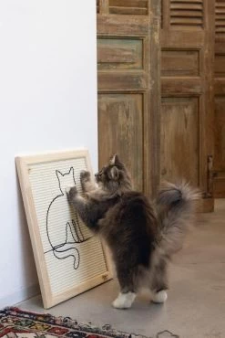 Designed By Lotte Hout Krabplank Sammy 7 Designed By Lotte Hout Krabplank Sammy -Huisdier Korting Winkel Web 0409140 sfeer1