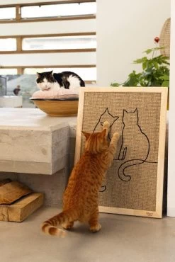 Designed By Lotte Hout Krabplank Poezels -Huisdier Korting Winkel Web 0409142 sfeer1