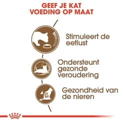 Royal Canin Kattenvoer Ageing 12+ 2 Kg -Huisdier Korting Winkel royal canin ageing 12plus senior kat oudere kat vanaf 12 jaar hero usp