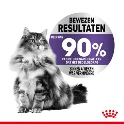 Royal Canin Kattenvoer Appetite Control Care 3,5 Kg -Huisdier Korting Winkel royal canin appetite control care gesteriliseerd volwassen kat bedelgedrag hero image 9