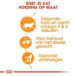 Royal Canin Kattenvoer Intense Beauty In Gravy 12 X 85 Gr -Huisdier Korting Winkel royal canin intense beauty in gravy volwassen kat vacht en huid hero usp
