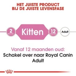 Royal Canin Kattenvoer Kitten 10 Kg -Huisdier Korting Winkel royal canin kitten kitten kat groeifase hero image 8