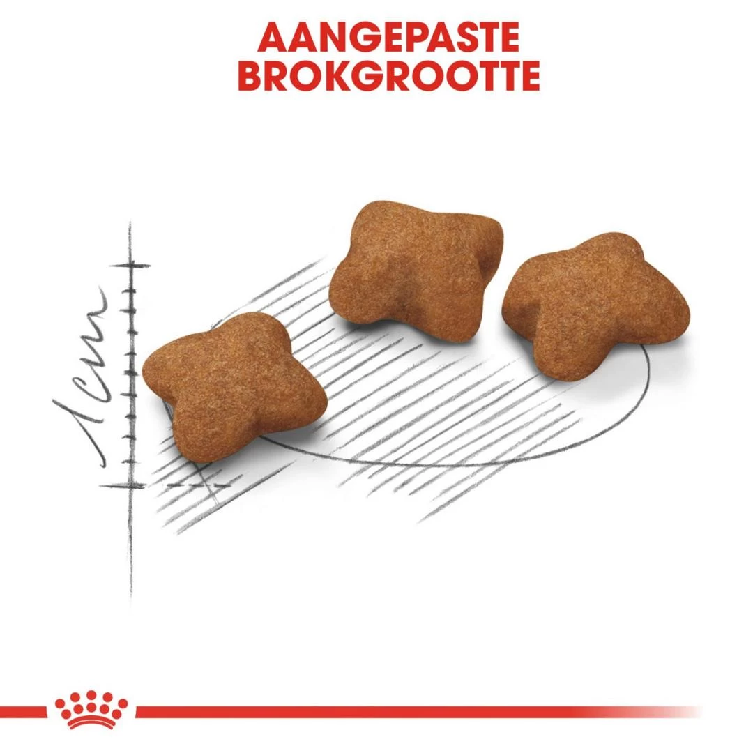 Royal Canin Kattenvoer Kitten Sterilised 3,5 Kg 2 Royal Canin Kattenvoer Kitten Sterilised 3,5 Kg - Afbeelding 2