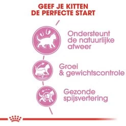 Royal Canin Kattenvoer Kitten Sterilised 3,5 Kg 5 Royal Canin Kattenvoer Kitten Sterilised 3,5 Kg -Huisdier Korting Winkel royal canin kitten sterilised kitten kat castratie sterilisatie hero usp