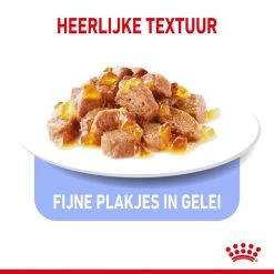Royal Canin Kattenvoer Ultra Light Jelly 12 X 85 Gr -Huisdier Korting Winkel royal canin light weight care in jelly volwassen kat preventie overgewicht hero kibble