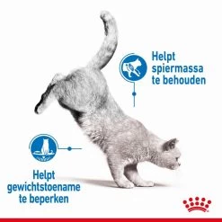Royal Canin Kattenvoer Light Weight Care 3 Kg -Huisdier Korting Winkel royal canin light weight care volwassen kat preventie overgewicht hero image 8