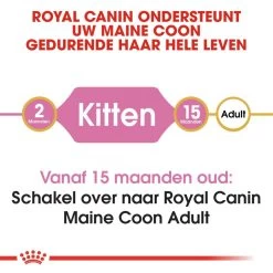 Royal Canin Kattenvoer Maine Coon Kitten 4 Kg -Huisdier Korting Winkel royal canin maine coon kitten kitten kat maine coon hero image 8