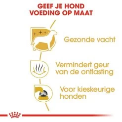 Royal Canin Hondenvoer Maltese Adult 1,5 Kg -Huisdier Korting Winkel royal canin maltese adult volwassen hond maltezer vanaf 10 maanden hero usp