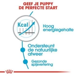 Royal Canin Hondenvoer Maxi Puppy Active 15 Kg -Huisdier Korting Winkel royal canin maxi puppy active pup hond grote hondenrassen hero usp