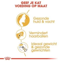 Royal Canin Kattenvoer Norwegian Forest Cat Adult 10 Kg -Huisdier Korting Winkel royal canin norwegian forest cat adult volwassen kat noorse boskat hero usp