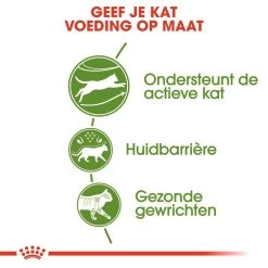 Royal Canin Kattenvoer Outdoor 2 Kg -Huisdier Korting Winkel royal canin outdoor volwassen kat buitenkatten hero usp