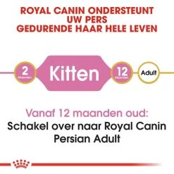 Royal Canin Kattenvoer Persian Kitten 10 Kg -Huisdier Korting Winkel royal canin persian kitten kitten kat pers hero image 8