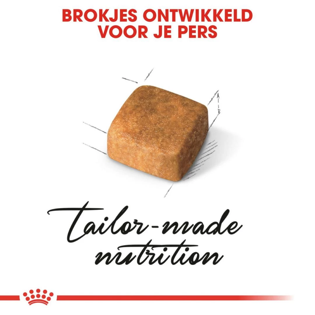 Royal Canin Kattenvoer Persian Kitten 2 Kg 2 Royal Canin Kattenvoer Persian Kitten 2 Kg - Afbeelding 2