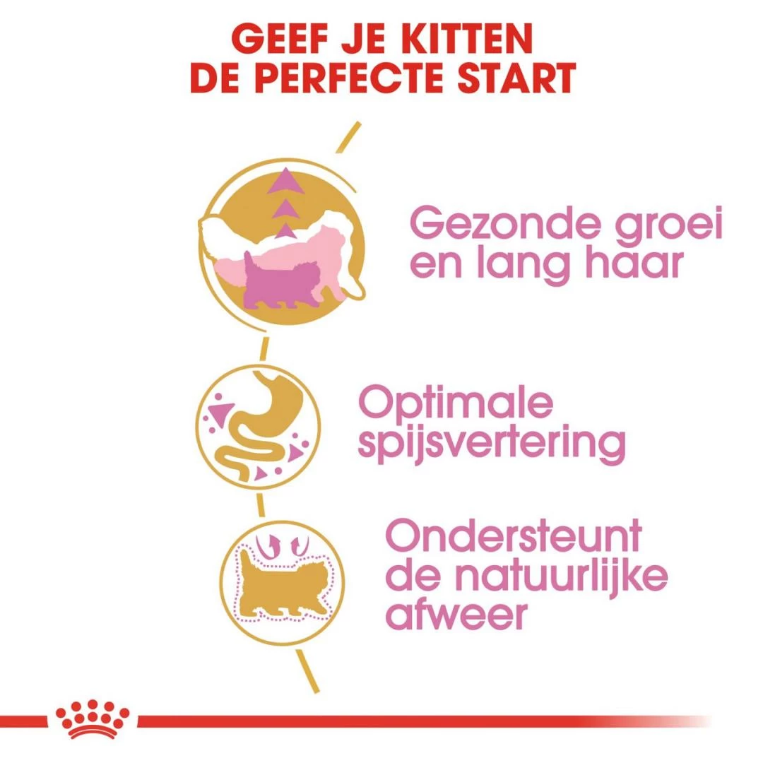 Royal Canin Kattenvoer Persian Kitten 2 Kg 3 Royal Canin Kattenvoer Persian Kitten 2 Kg - Afbeelding 3