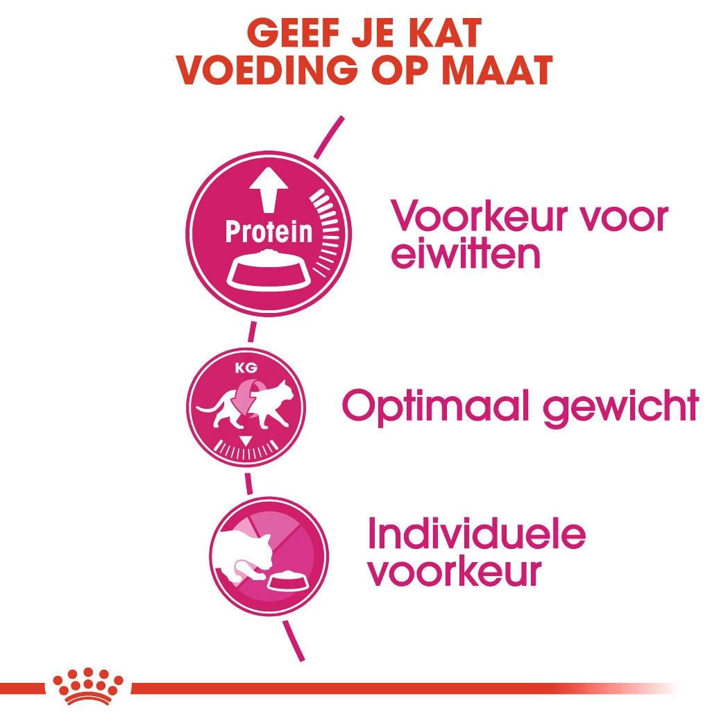 Royal Canin Kattenvoer Protein Exigent 10 Kg 3 Royal Canin Kattenvoer Protein Exigent 10 Kg - Afbeelding 3